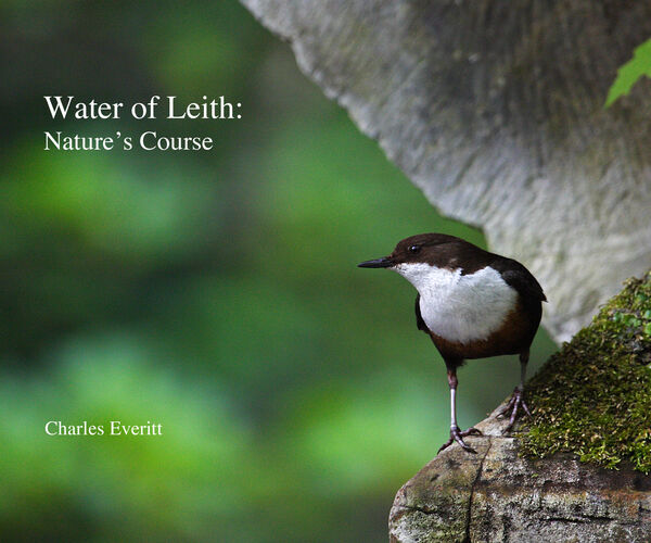Water of Leith: Nature's Course