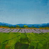 Remembered Walk XIX: Lavender Fields, Norfolk