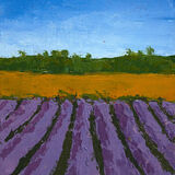 Remembered Walk XX: Lavender Farm, Norfolk