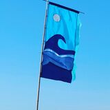 Wave Flag