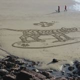 Surfing Cat, Freshwater East