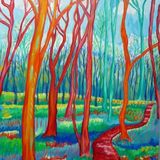 WOODS BEHIND BARAFUNDLE