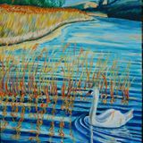 SWAN BY GRASSY BRIDGE