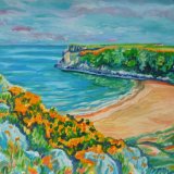 Gorse at Barafundle