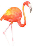 watercolour Flamingo 2