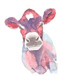 watercolour Jersey Cow