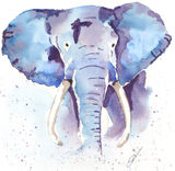 watercolour Elephant