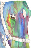 watercolour Horse face