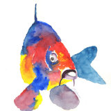 watercolour Carp