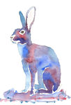 watercolour purple Hare