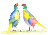 watercolour Pheasants