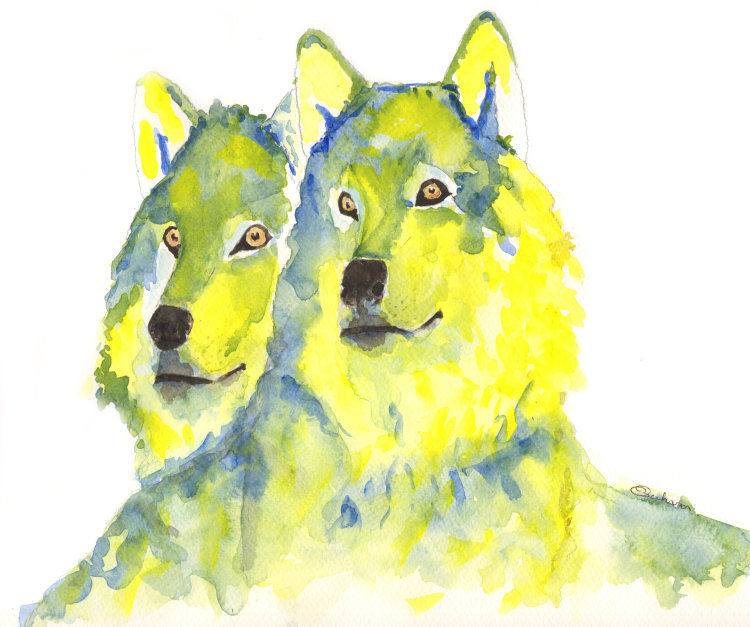 Two wolves watching