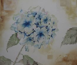 BS Hydrangea Cool Blue