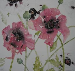 BS Merle's Poppies