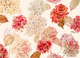 BS Rainbow of Hydrangeas