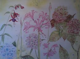 BS Scottish September Garden