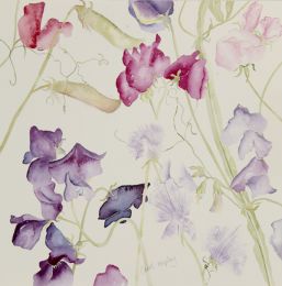 BS Sweet Pea Medley 1