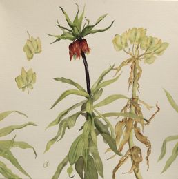 B Growing Old Gracefully