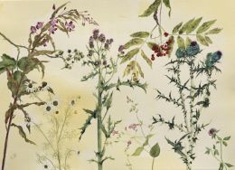 B Water of Leith Bystanders