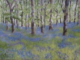 LS Bluebell Wood