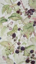 OS Bonlay Blackberries