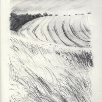 C.Bury. Pencil drawing. Rambling Collection, Open Space
