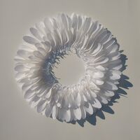 C.Bury Feathers. Shield