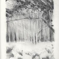 C. Bury Pencil drawing . Rambling Collection, Safe Place. July 2020