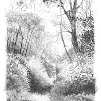 Carole Bury. Hold My Hand. Pencil.