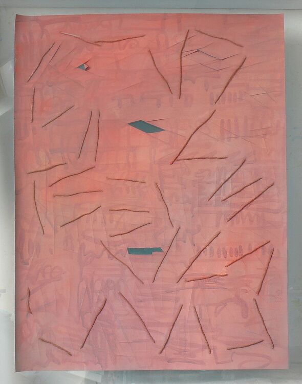 Salmon, watercolour, ink and thread on paper 65x50cm 2026