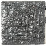 Coal, fern, threads and acrylic on canvas, 20x20cm 2026