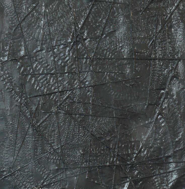 Coal, ferns threads and acrylic on canvas 2026
