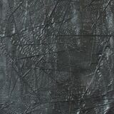 Coal, ferns threads and acrylic on canvas 2026