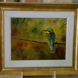 Little Bee Eater