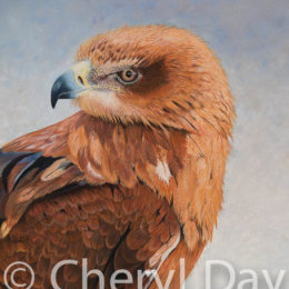 Original pastel painting "Tawny Eagle" [SOLD]