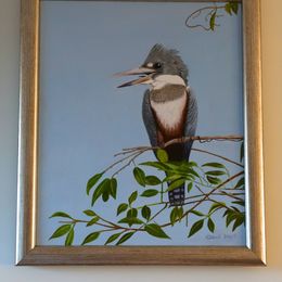 Original oil painting "Grey ringed kingfisher"