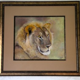 Original pastel painting Masa Mara Young Lion