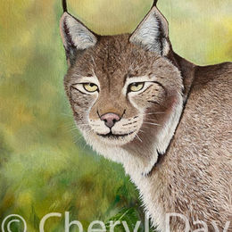 Original oil painting Eurasian Lynx