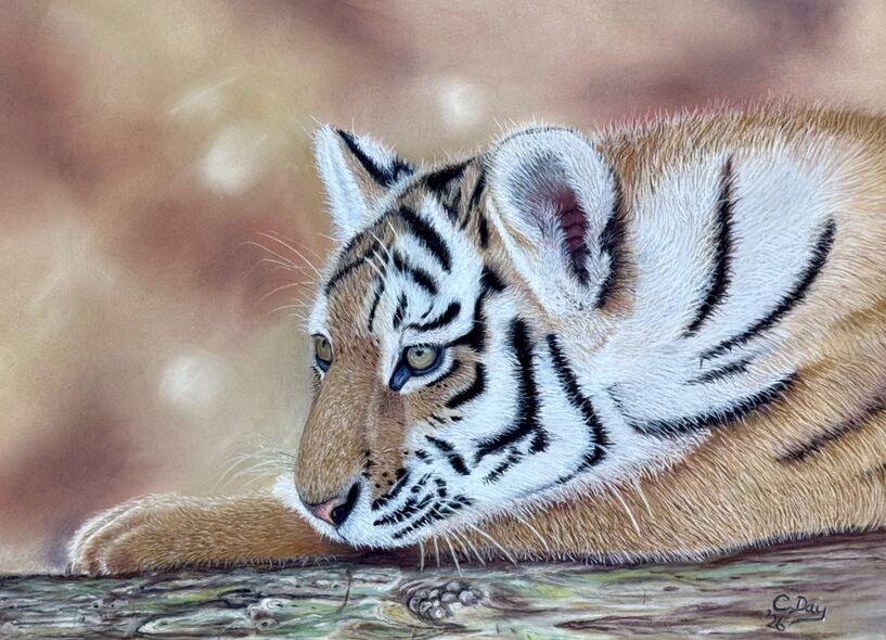 Original pastel drawing - "Resting Cub"