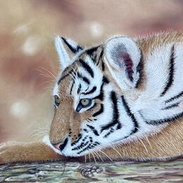 Original pastel drawing - "Resting Cub"