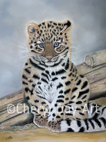 Original pastel drawing - "Amur Leopard Cub"