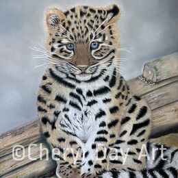 Original pastel drawing - "Amur Leopard Cub"