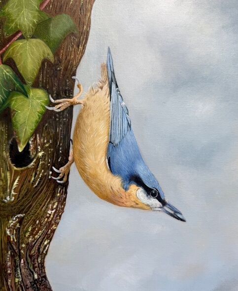 Original oil painting on panel: "Nuthatch"