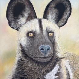 Original Pastel drawing - "Amber Gaze"