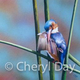 Original painting "Kingfisher's Perch" [SOLD]
