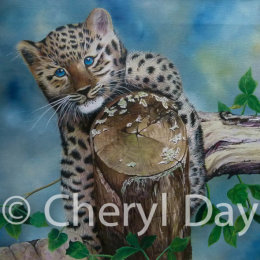 Amur Leopard Cub Climb [SOLD]