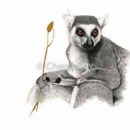 Madagascan Warrior [SOLD]