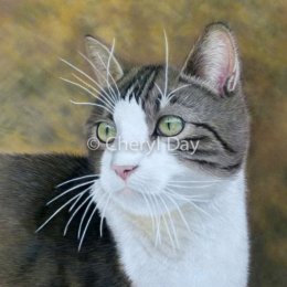 Original Neighbour's Cat in Pastel