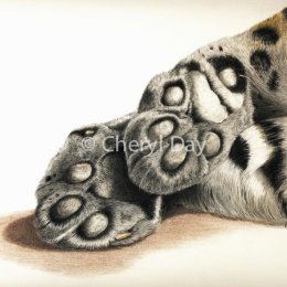 Amur Leopard Downtime [SOLD]