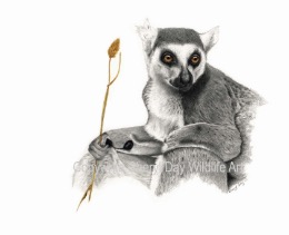 Graphite